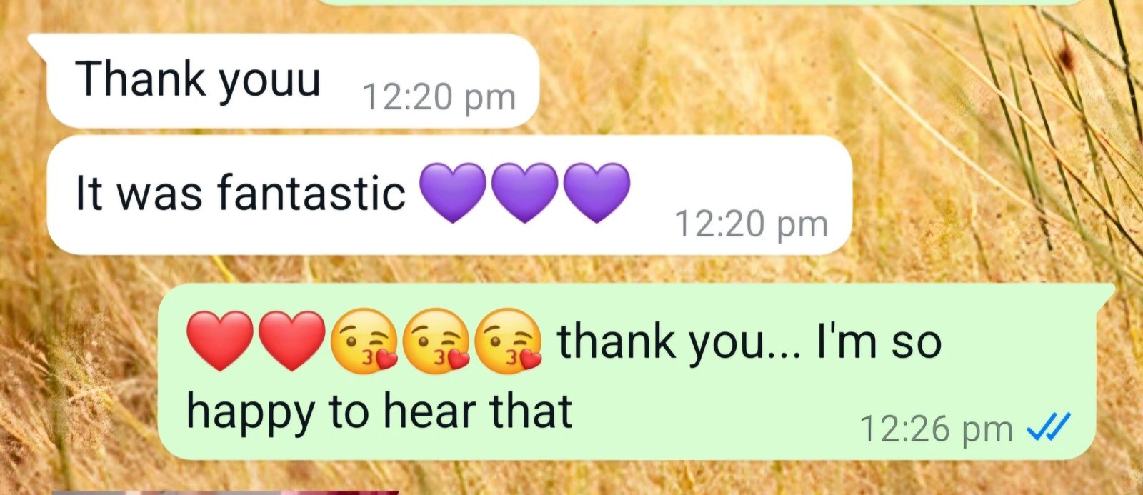 Screenshot_20240915_134728_WhatsApp